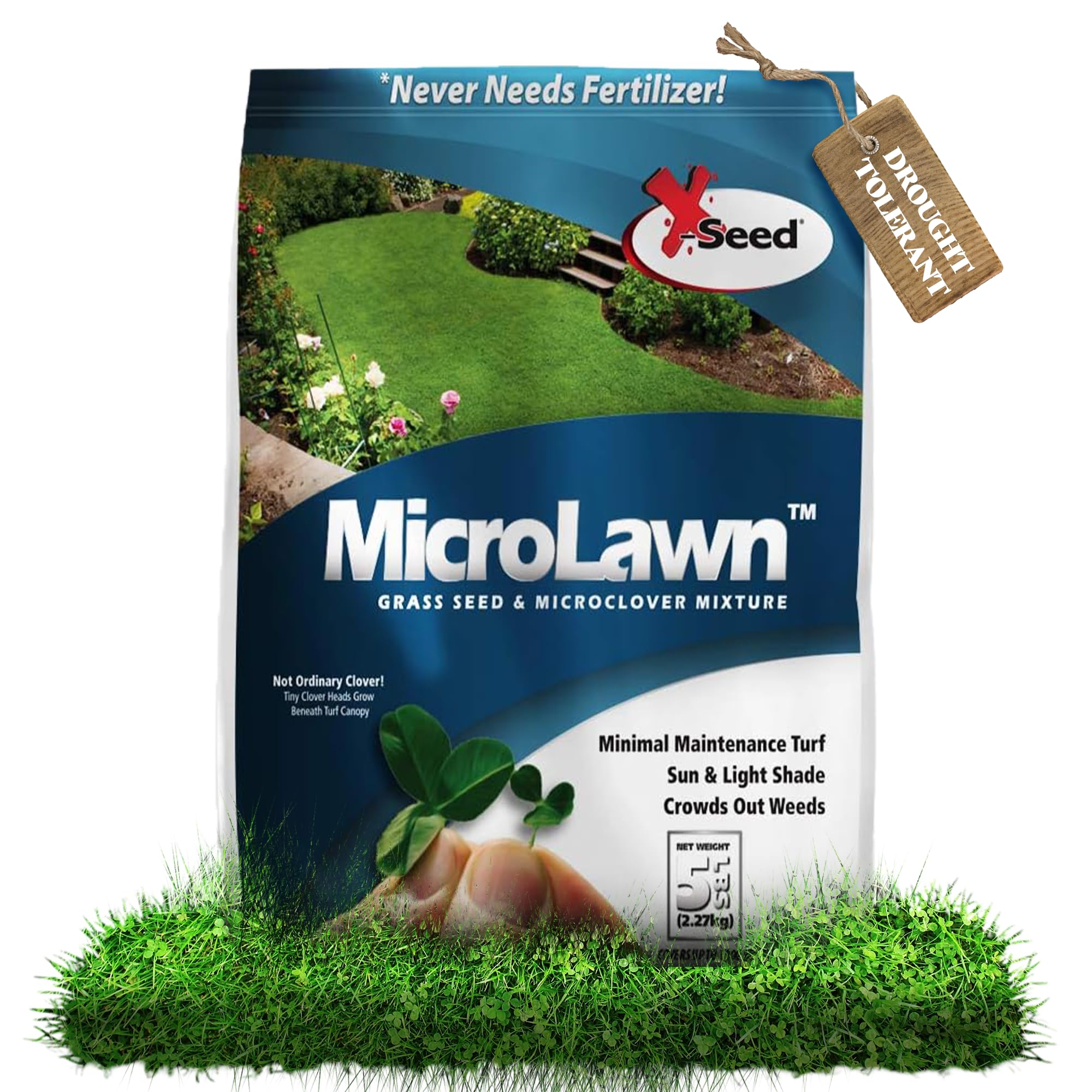 Amazon.com : X-Seed Microlawn Grass Seed & Microclover Mix – Dense